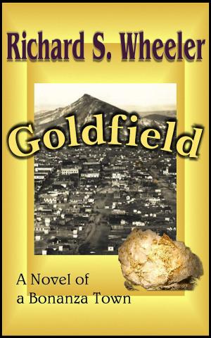 Book cover of Goldfield