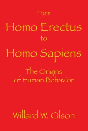 Cover of the book From Homo Erectus to Homo Sapiens: The Origins Of Human Behavior by Edwin W. Biederman, Jr.