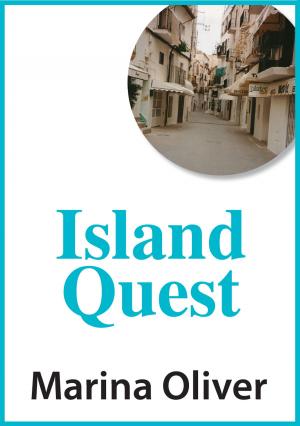 bigCover of the book Island Quest by 