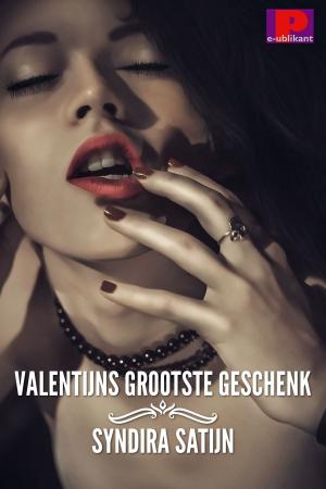 Cover of the book Valentijns grootste geschenk by Anaïd Haen, Django Mathijsen