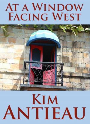 Book cover of At a Window Facing West