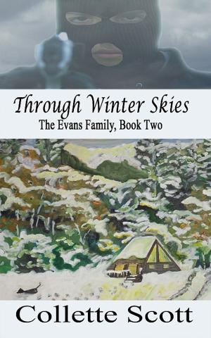Cover of Through Winter Skies (The Evans Family, Book Two)