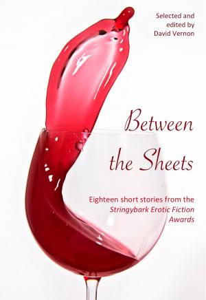 Book cover of Between the Sheets: Eighteen Short Stories from the Stringybark Erotic Fiction Awards