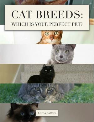 Cover of the book Cat Breeds: Which is Your Perfect Pet? by Elena Pankey