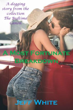 Cover of the book A Most Fortunate Breakdown by Jeff White
