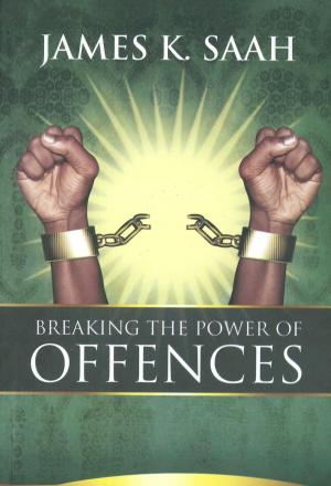 Book cover of Breaking the Power of Offences