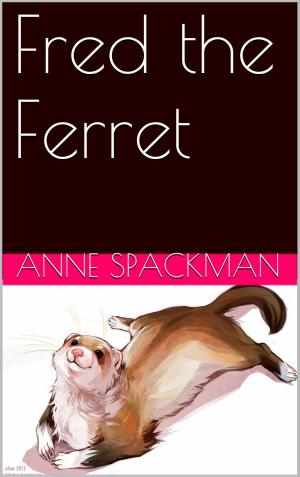 Cover of the book Fred the Ferret by Anne Spackman
