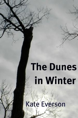 Book cover of The Dunes in Winter