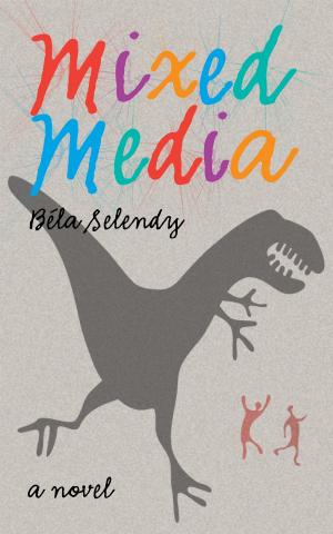 Cover of Mixed Media by Bela Selendy, Bela Selendy