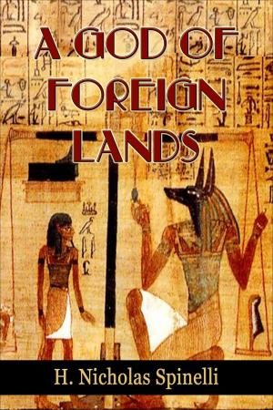 Cover of the book A God of Foreign Lands by Andrew Man