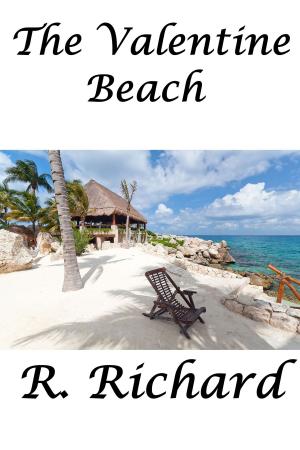 Book cover of The Valentine Beach