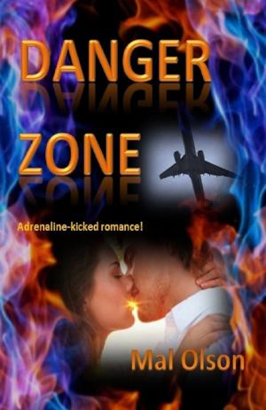 Book cover of Danger Zone (Short story)