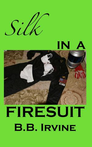 Cover of the book Silk In A Firesuit by Sue Perry
