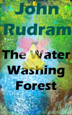 Cover of the book The Water Washing Forest by Veronica Del Rosa