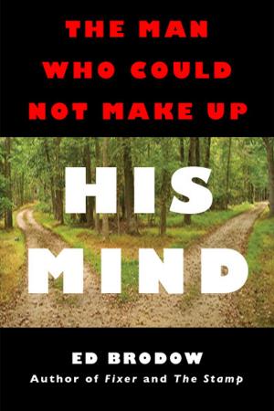 Cover of the book The Man Who Could Not Make Up His Mind by Peter Rake
