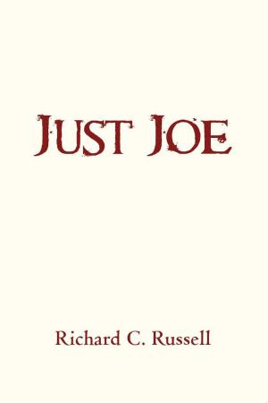 Book cover of Just Joe