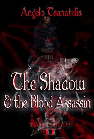 Book cover of The Shadow & the Blood Assassin (Dark Hunters 2)