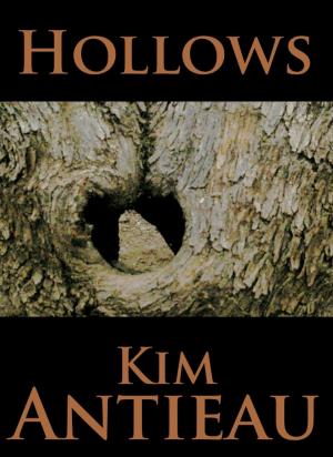 Cover of the book Hollows by Kim Antieau