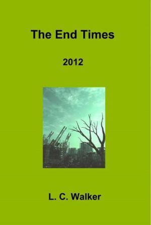 Book cover of The End Times 2012