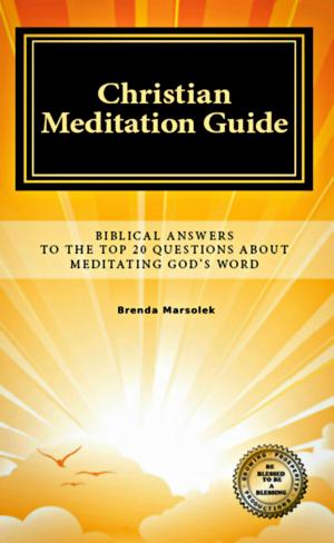 Cover of Christian Meditation Guide: Biblical Answers To The Top 20 Questions About Meditating God's Word
