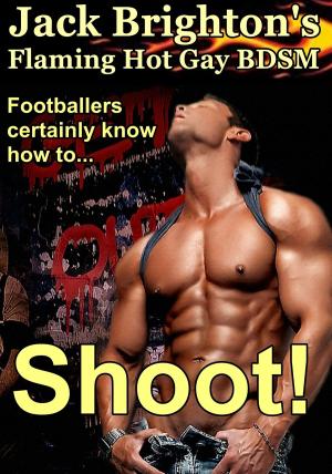 Cover of the book Shoot! by J. K. Brighton