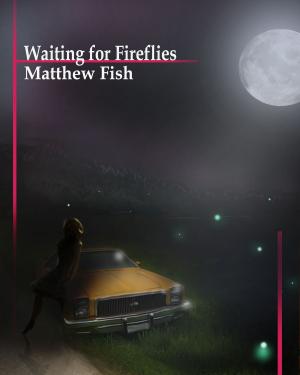 Book cover of Waiting for Fireflies