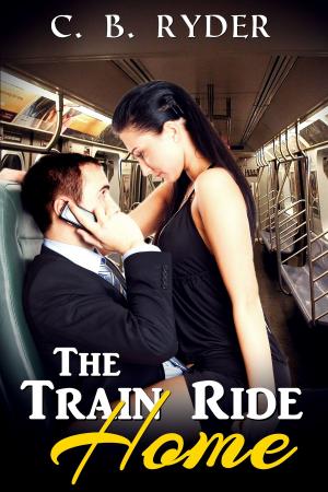 Book cover of The Train Ride Home