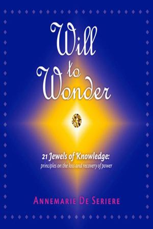 Cover of the book Will to Wonder | 21 Jewels of Knowledge by Jacqui Penn