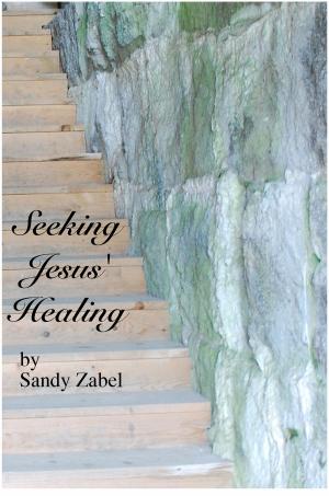 Book cover of Seeking Jesus Healing