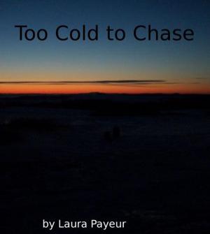 Cover of Too Cold to Chase