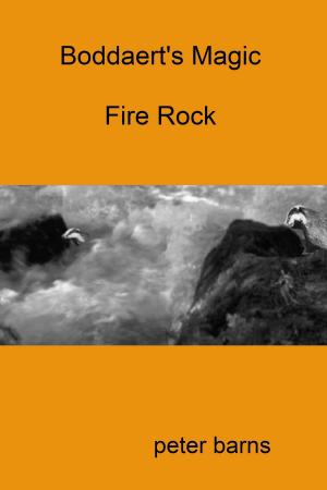Cover of the book Fire Rock by Bokerah Brumley
