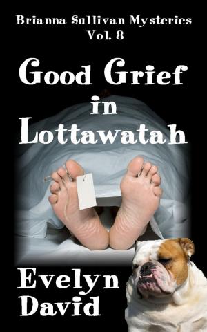 Book cover of Good Grief in Lottawatah