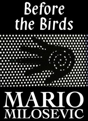 Book cover of Before the Birds