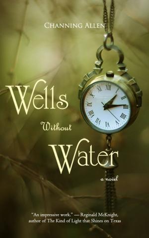 Cover of the book Wells Without Water by Justin Bedard