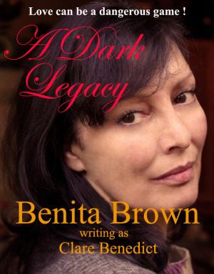 Cover of the book A Dark Legacy by Susan Stephens