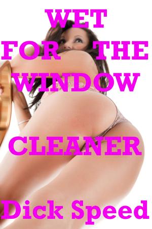 Cover of Wet for the Window Cleaner