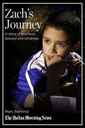 Cover of Zach's Journey: A story of boyhood, bravery and blindness