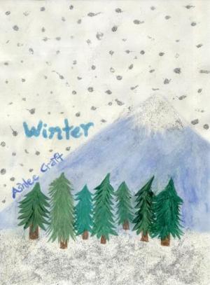 Cover of the book Winter by Ashlee Craft