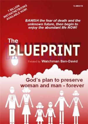 Cover of the book The Blueprint by Rachael Sanowski