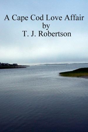 Book cover of A Cape Cod Love Affair