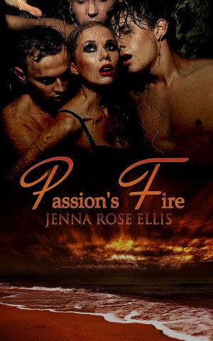 Cover of the book Passion's Fire by KC Kendricks