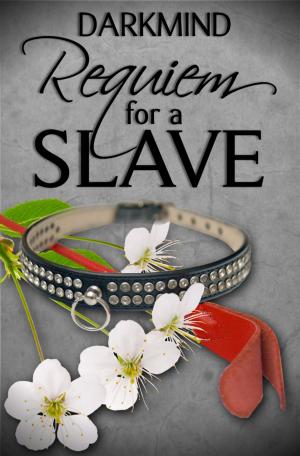 Cover of the book Requiem for a Slave by Nick Perado