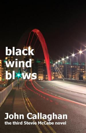 Cover of Black Wind Blows