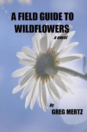 bigCover of the book A Field Guide To Wildflowers by 