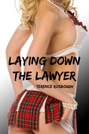 Cover of the book Laying Down the Lawyer by Melissa Mcclone