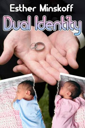 Cover of the book Dual Identity by Virginia Vayna