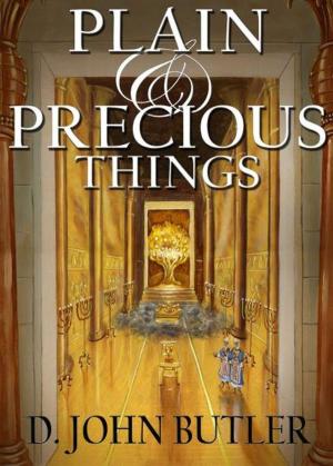 Book cover of Plain and Precious Things: The Temple Religion of the Book of Mormon's Visionary Men
