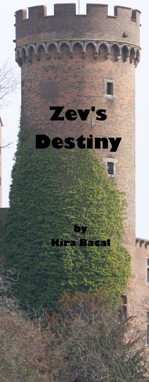 Cover of the book Zev's Destiny by Jim Bob Magill