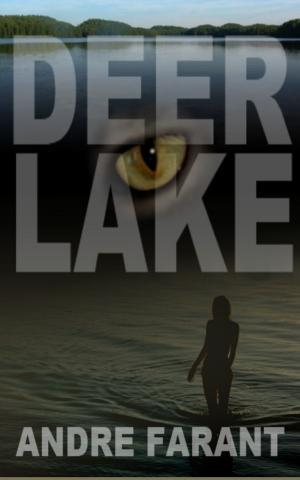 Cover of the book Deer Lake: A Novel by Stephen Ross