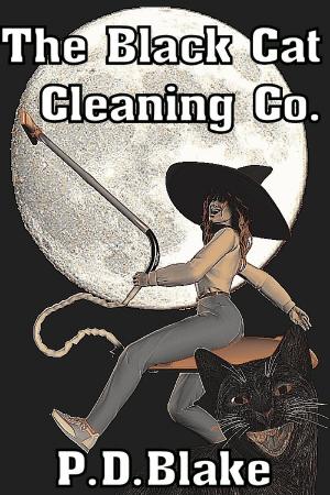 Book cover of The Black Cat Cleaning Co.